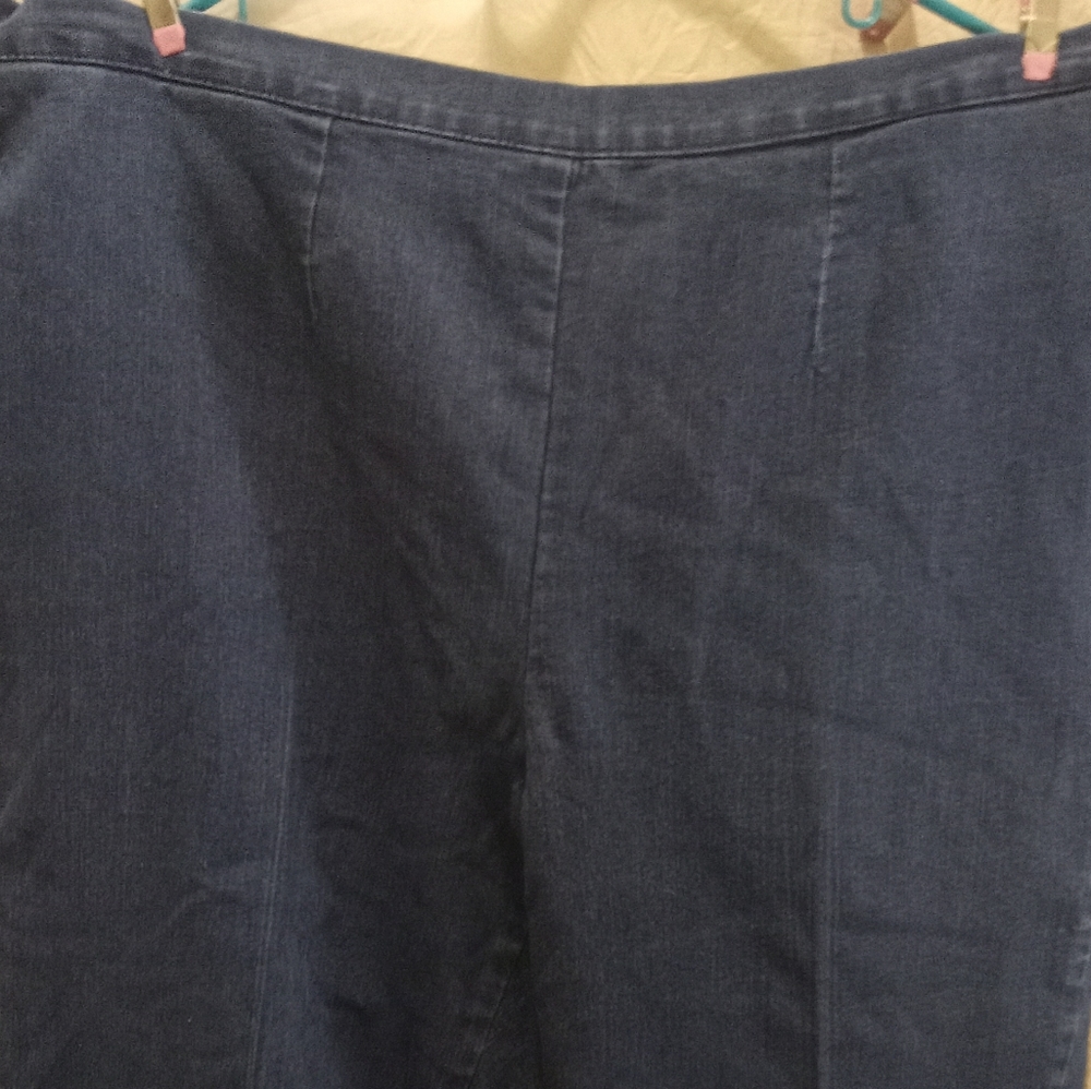 ALFERD DUNNER PLUS SIZE CAPRIS